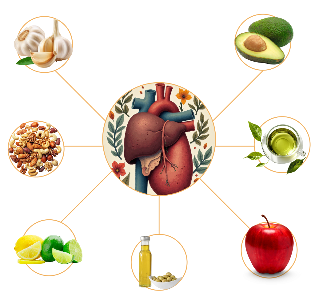 Food that are good for the liver infographic image
